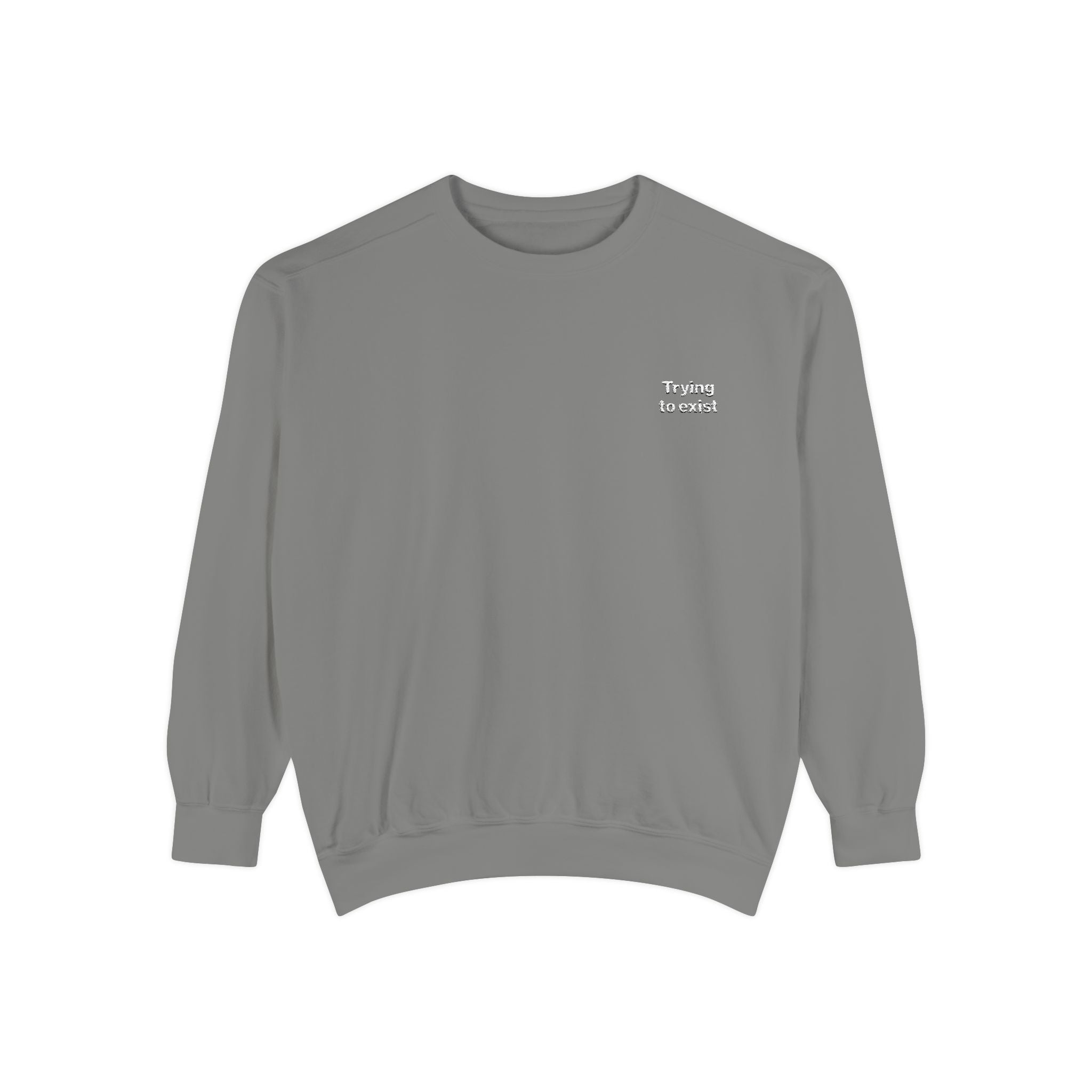 Trying to Exist Embroidered Sweatshirt