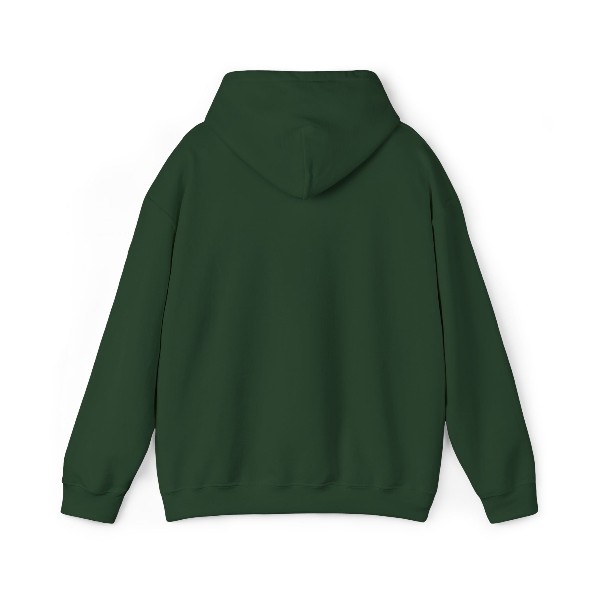 Nothing Changes without Effort Hoodie