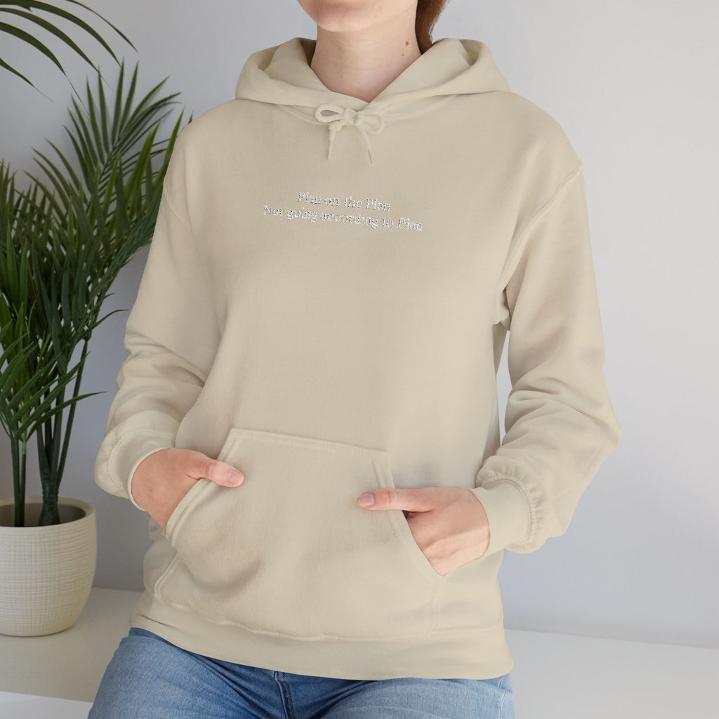 Plan on the Plan not going according to Plan Embroidered Hoodie