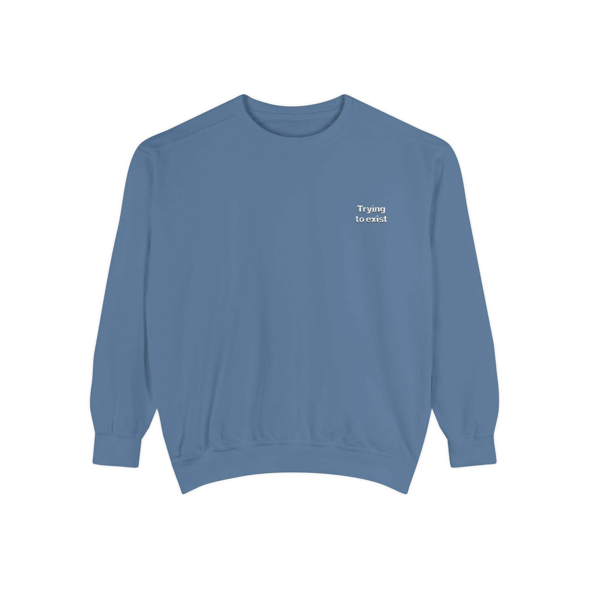 Trying to Exist Embroidered Sweatshirt