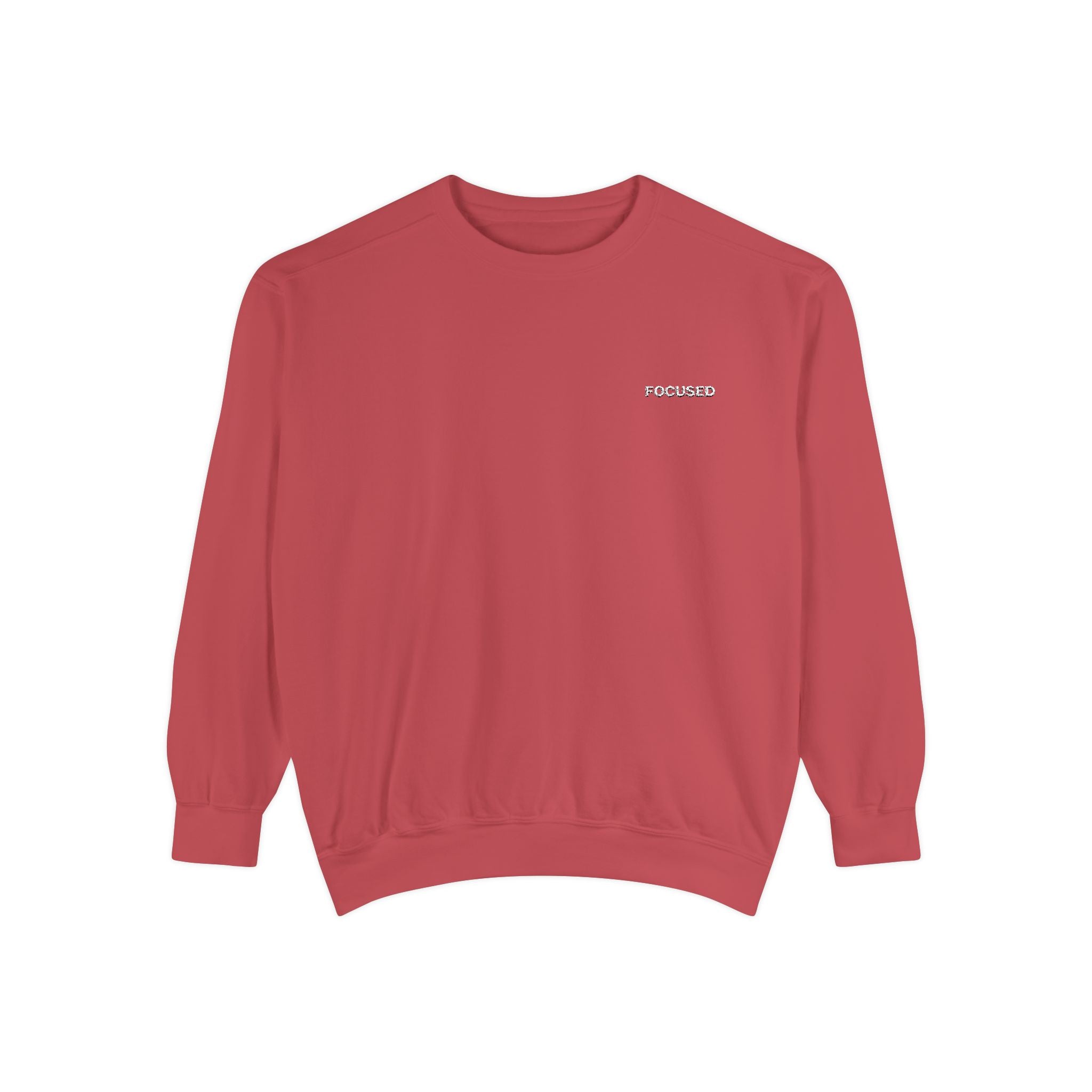Focused Embroidered Sweatshirt