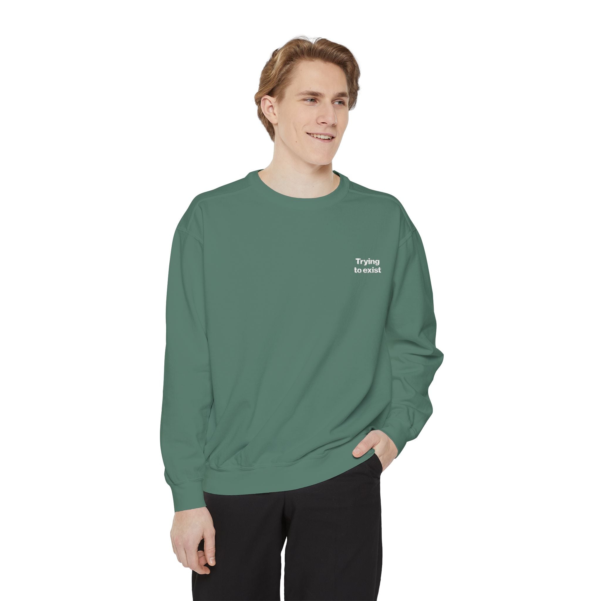 Trying to Exist Embroidered Sweatshirt