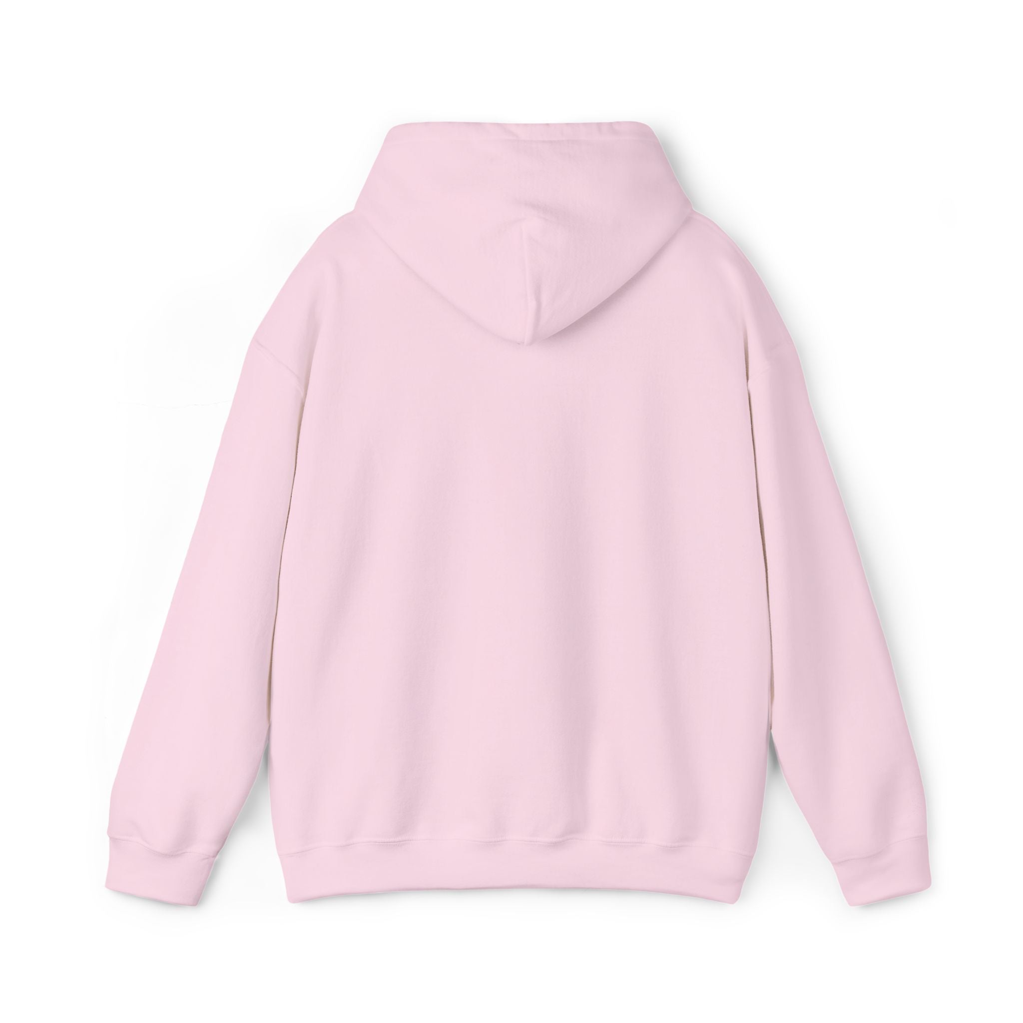 Nothing Changes without Effort Hoodie