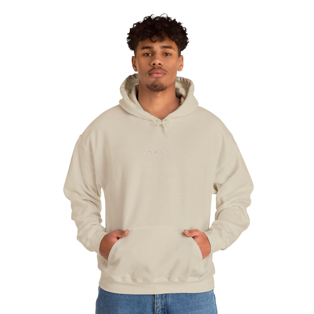 Make Today Count Embroidered Hoodie