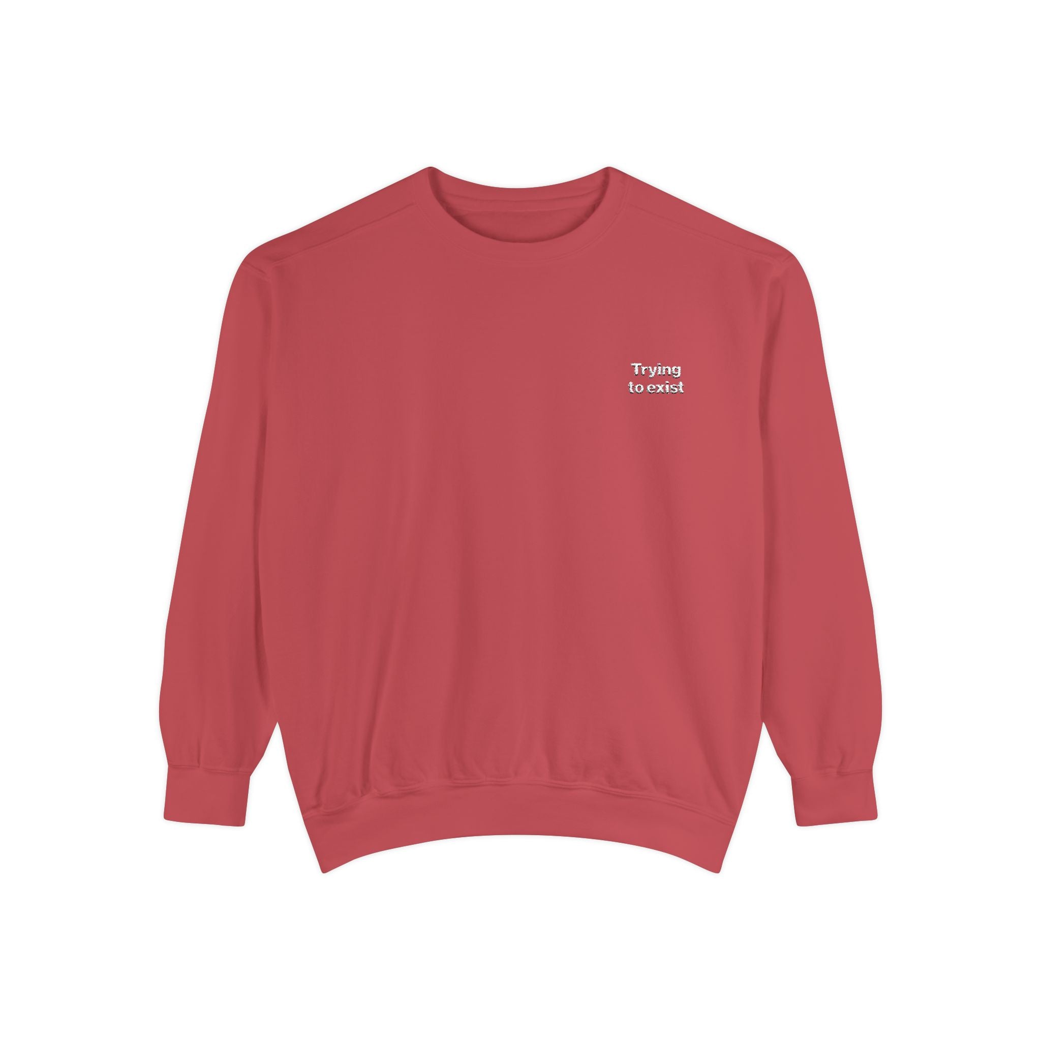 Trying to Exist Embroidered Sweatshirt