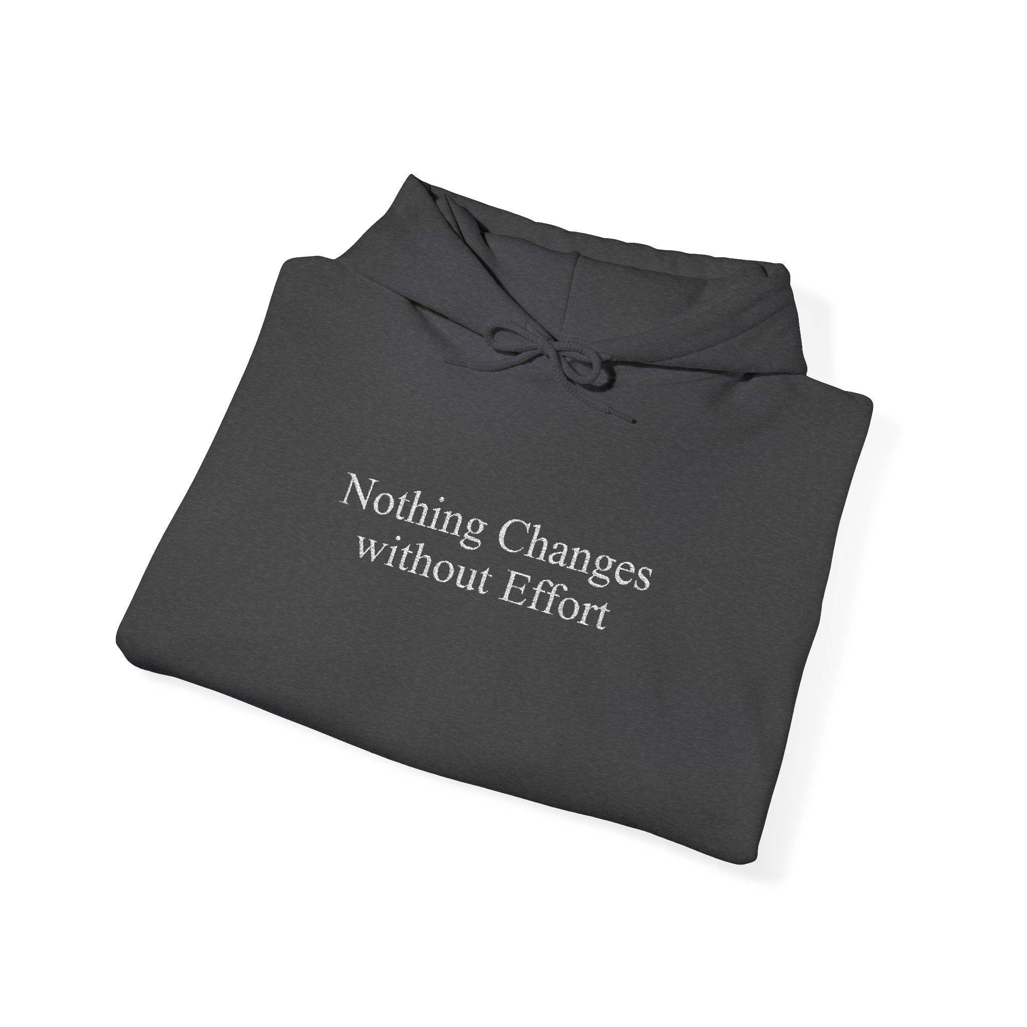 Nothing Changes without Effort Hoodie